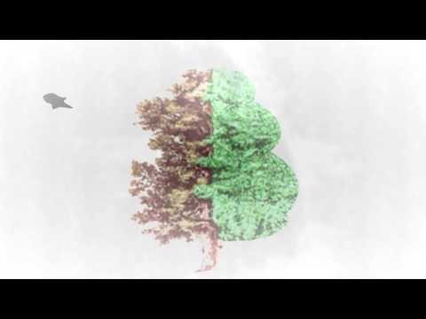 Astronivo - People (Terry Grant Remix) TULIPA160