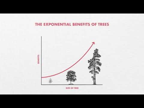 Tree of All Trades