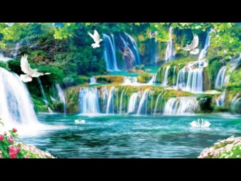 Beautiful Surah Al-Mulk Full Recitation | Maqam Ajam and Maqam Jiharkah