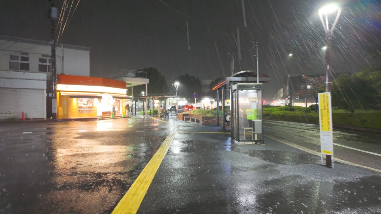 Rainy Night Walk at Edogawadai, Suburban Tokyo Japan 4K HDR