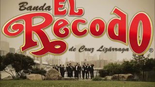 La Miel De Su Saliva  Banda El Recodo De Cruz Lizarraga (Letra)