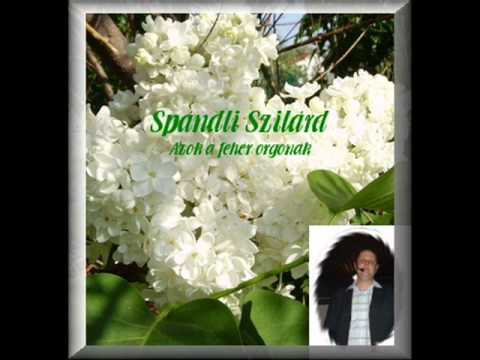 Spándli Szilárd   Azok a fehér orgonák   Dynamic Music