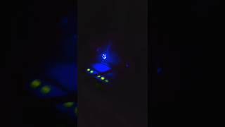 Download lagu https://vt.tiktok.com/ZSHcdEK1w1112-ZLfFl/ mp3