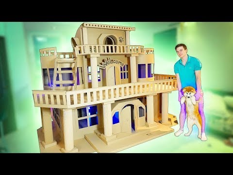 IMPROVED A HUGE HOUSE FOR A PUPPY ! HOUSE OF BOXES !