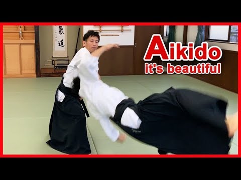 So beautiful Aikido ! Beautiful and fluid movements - Shirakawa Ryuji shihan