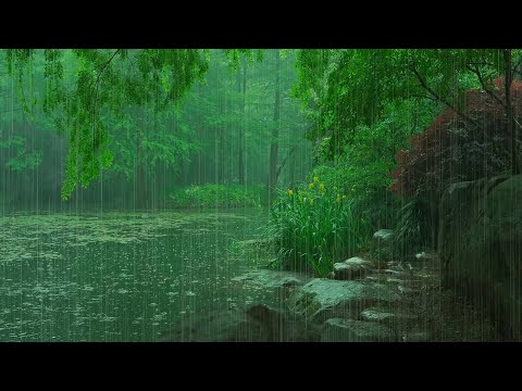 The beautiful little river is raining(103) , sleep, relax, meditate, ASMR, Real Shot