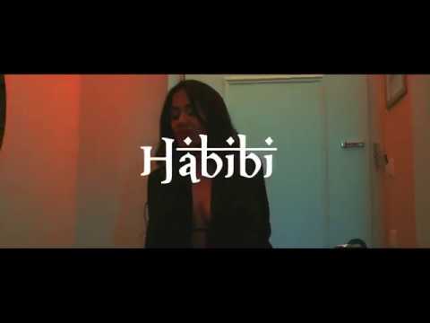 DJ VIPER - HABIBI (Official Video)
