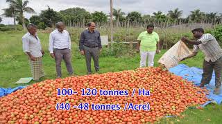 ARKA RAKSHAK F1 Hybrid of ICAR-IIHR