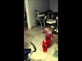 Beating Up Elmo