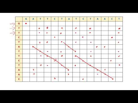 Introduction to Bioinformatics - Dot plot for comparing two sequences