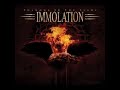 Tarnished - Immolation