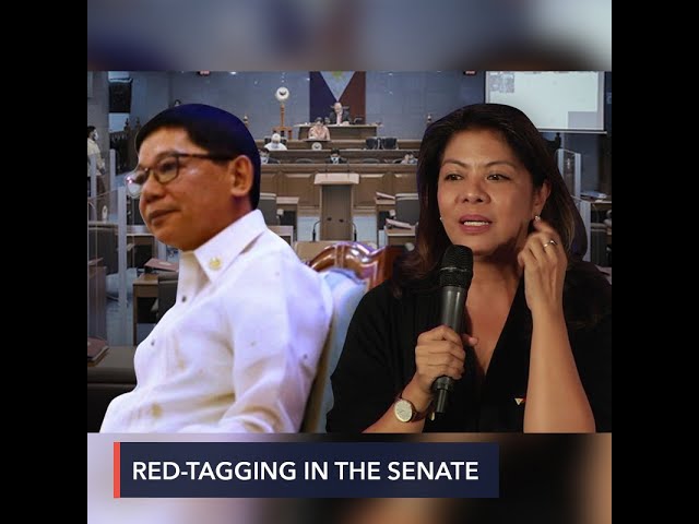 Senators blast PH intel chief, Badoy for red-tagging Senate employees’ union