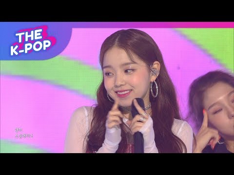 Rothy, BEE [THE SHOW 190611]