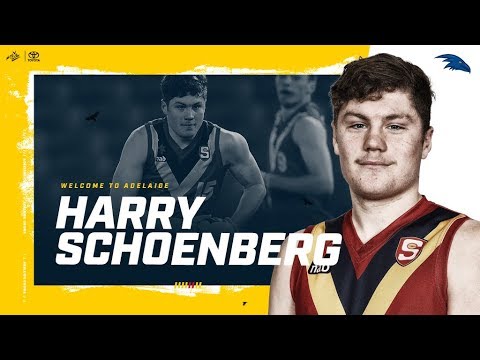 Pick #24: Harry Schoenberg