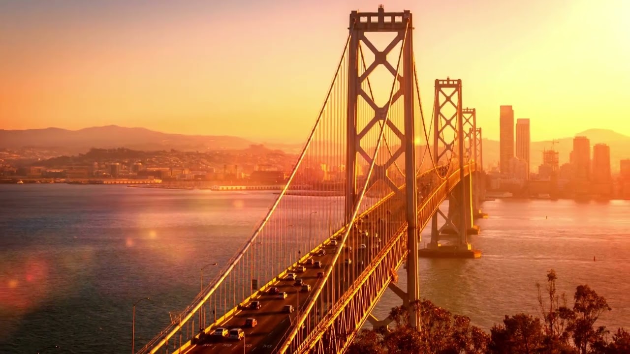 What’s the difference between dauphinoise and gratin? Ask Library