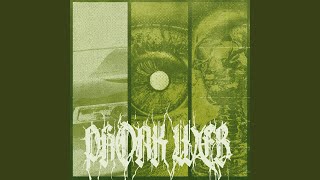 Cover art for Phonk Web