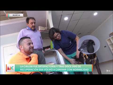 Educación Canina en Murcia Conecta Nº70 - EKA (7-2-2019)