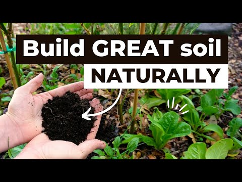 How to build great soil naturally using home made compost and layered soil building