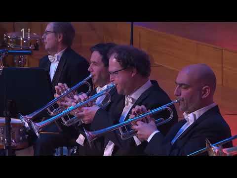 Avsenik s simfoničnim orkestrom RTV Slovenija - SPOMIN (S. & V. AVSENIK, prir. Bojan Adamič)