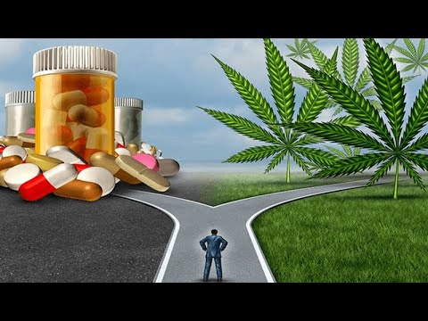 LIEČIVÉ ÚČINKY KONOPE   Slobodný vysielač