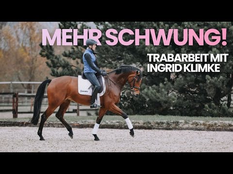 Schwung entwickeln im Dressurtraining | Jungpferdearbeit mit Ingrid Klimke