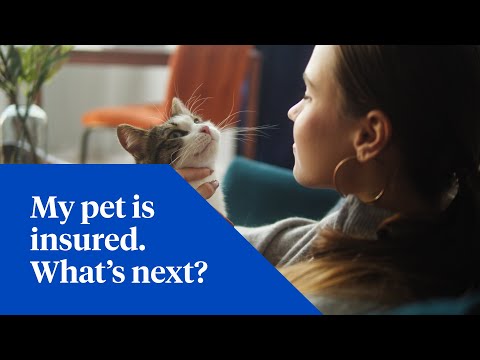 Nationwide video/presentation/materials