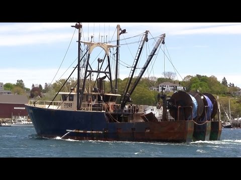 Made with Love at Lee's | #47 | DrakeParagon Season 2