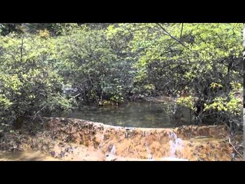 Turismo de Huanglong, província de Sichuan, China --- Curta-metragem