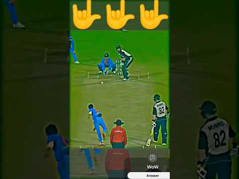 Hardik Pandya taken unbelievable catch #cricket #viratkohli #hardikpandya #ipl #worldcup2023 #trend