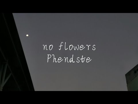 no flowers - phendste (lyric video)