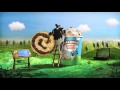 Introducing 'Wich! | Ben & Jerry's EUROPE