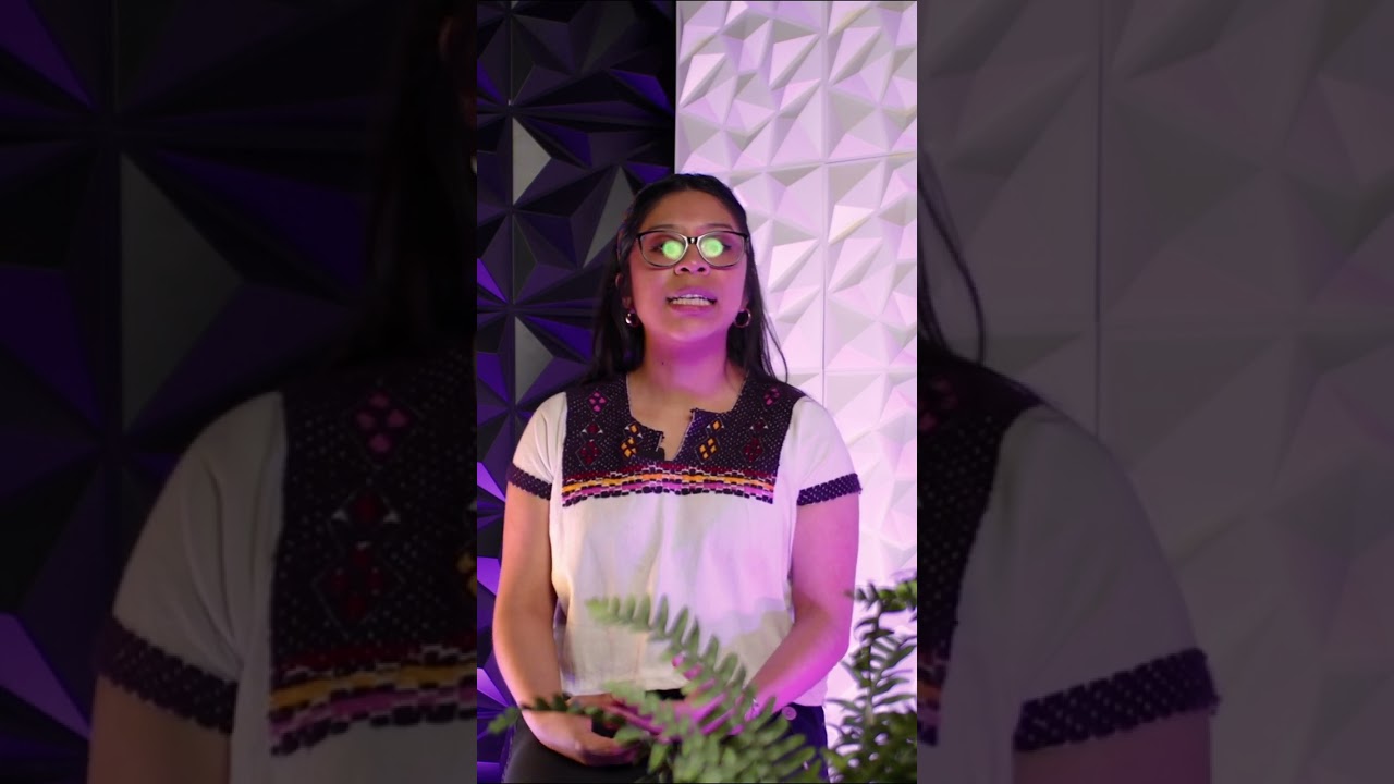 Feminismo Abya Yala o territorial – Karen Medrano – Mujeres Tejiendo Red