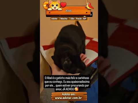 Vídeo de Abel