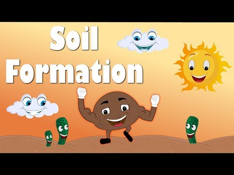 Soil Formation | #aumsum #kids #science #education #children