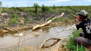 Download lagu KEMARAU TIBA!!! MUSIM NYA ORANG MANCING PANEN IKAN DI AIR SURUT IKAN BESAR NYA NGUMPUL DI SINI mp3 Download lagu KEMARAU TIBA!!! MUSIM NYA ORANG MANCING PANEN IKAN DI AIR SURUT IKAN BESAR NYA NGUMPUL DI SINI mp3
