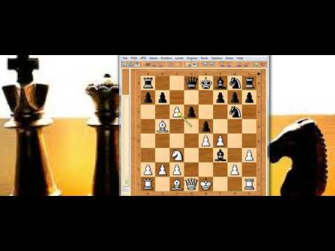 Neočekivani potez i mat !   -  SAULSON vs PHILIPHS  # 955