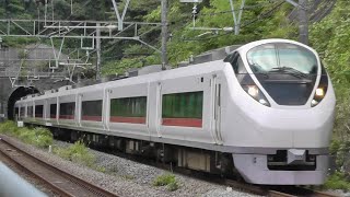 E257系 E657系 伊東按針祭花火大会号