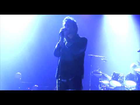 Videoclip de Pendulum (Live) — Pearl Jam