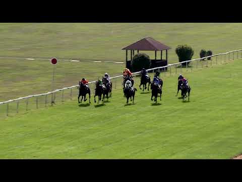 Dostihy Karlovy Vary 20. 8. 2023 - 2. dostih - Cena Conseq hřebčína Darhorse