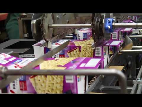 Langen B1 Semi Automatic Horizontal Cartoner  |   Cartoning Machine