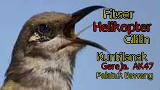 Download lagu Masteran Juara Terbaik Cucak Kombok Fitser Helikopter Gereja Cililin Kuntilanak Pelatuk Bawang AK47 mp3 Download lagu Masteran Juara Terbaik Cucak Kombok Fitser Helikopter Gereja Cililin Kuntilanak Pelatuk Bawang AK47 mp3