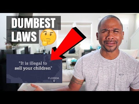 各州奇葩法律條款，你能安然脫身嗎？ (The DUMBEST Weirdest Laws IN ALL 50 STATES (pt 2) | Alonzo Lerone)