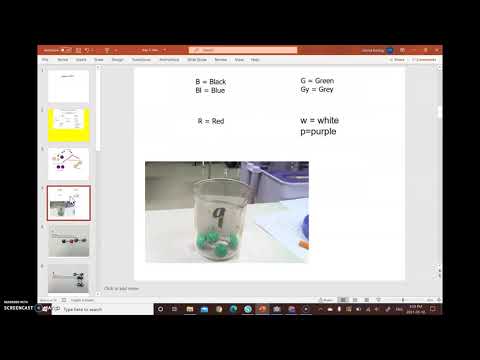 Introduction and Beaker Activity