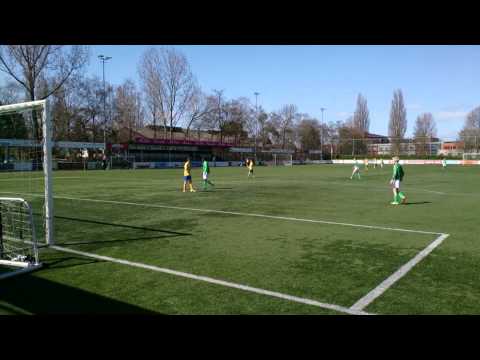 Legmeervogels D5-Roda 2013