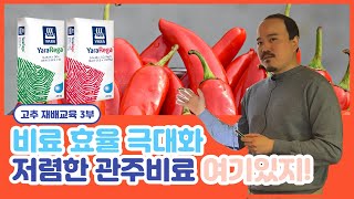 고추 재배 교육 3부! 효과 대박 관주 비료 비싸서 못준다?? 야라 관주비료는 절반가격이라 가능하다!! | …