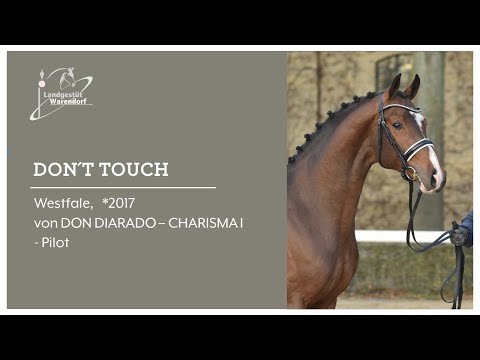Don´t Touch, Freispringen, Körung MS Handorf 2019