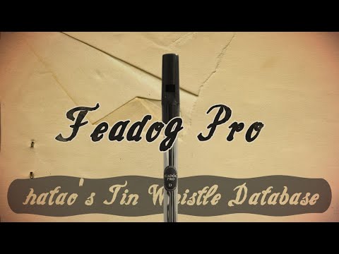 Tin Whistle Database ep.6 Feadóg Pro in Nickel