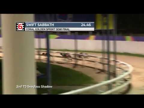 2020 CORAL GOLDEN SPRINT - 1ST SEMI - T6 SWIFT SABBATH