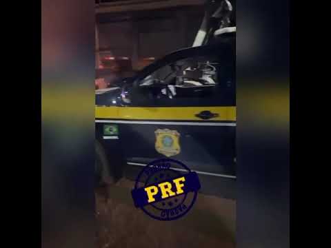 PRF apreende mais de 550 kg de cocaína encontrados em fundo falso de carreta que transportava milho em MT