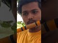 Romantic Flute Music Krrish Flute Theme Best Flute Music By Dev Rai